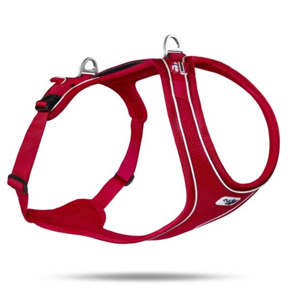 CURLI Postroj pre psy Belka Comfort Red XL, 30-45 kg